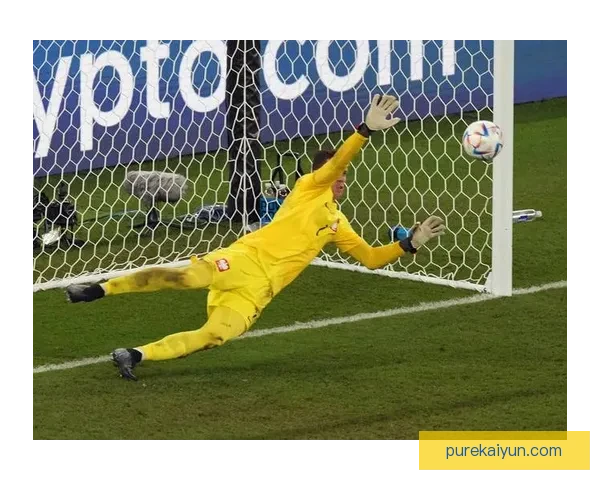 巴尔韦德世界杯表现稳健，进球集锦展现出色竞技状态