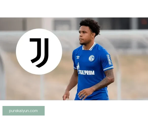 麦肯尼在目前赛季中表现稳健，持续为球队贡献关键数据与表现